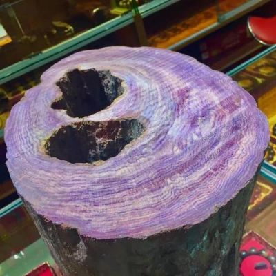 什么木头里面有紫色的？铁木豆木料-图3