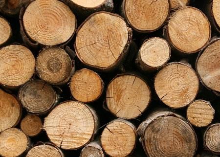 木头的特性是什么？木料或木材-图1