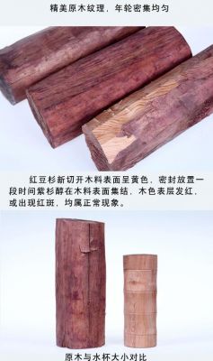 红豆杉的木材有什么作用？红豆杉木作用-图1