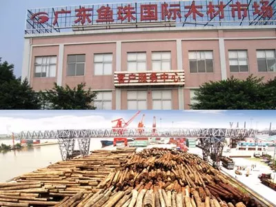 广东鱼珠国际木材市场的介绍？杉木市场-图3