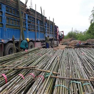 天津哪里有竹材市场？或者哪位朋友有废弃不要的竹子材料，谢谢？天津木料回收-图1