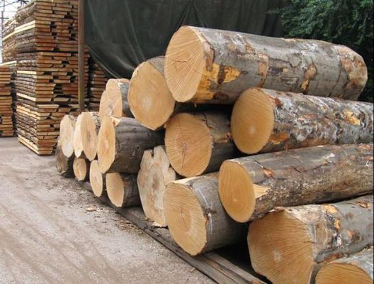 五公分粗的湿木头多长时间能干？木料烘干需要多久-图2