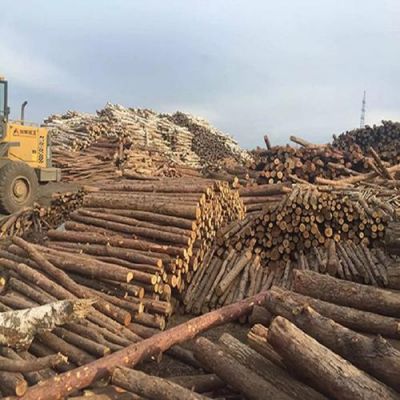 南杂木在吉林省什么地方？抚顺南杂木木料市场-图3