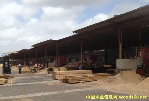 广东木材市场有哪几家？广州木料零售市场-图2