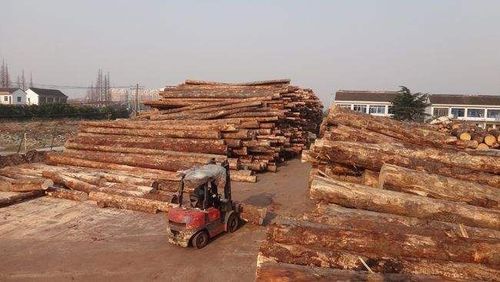 买木材怎么还价？老木料价格比新木料