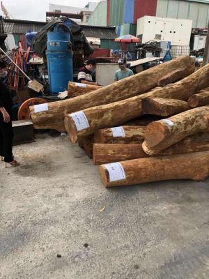 越南十大木材排名？越南的木料-图2