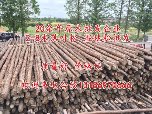 广州松木批发市场？广州松木新木材市场-图1
