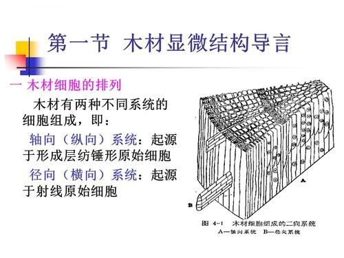 木材的微观构造是怎样的？木料房屋机构-图2