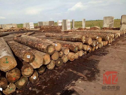 南宁有几个木材加工厂,在哪？南宁进口木料-图1