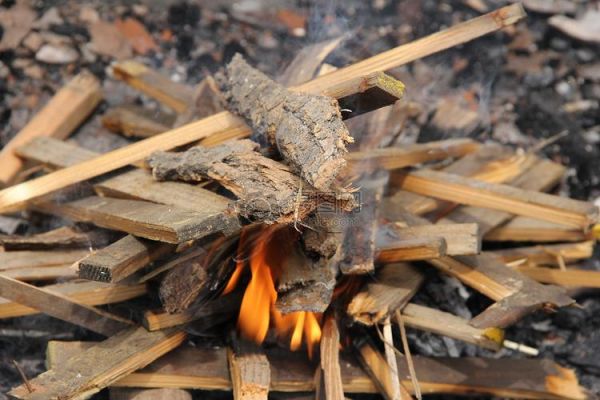 为什么木头燃烧后成了碳？木料变木板-图2
