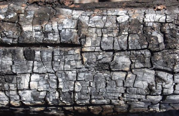 为什么木头燃烧后成了碳？木料变木板-图1