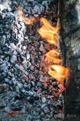 为什么木头燃烧后成了碳？木料变木板-图3