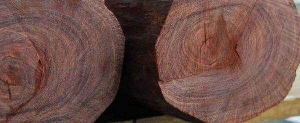 四大名木哪个价格便宜？便宜木料种类-图2