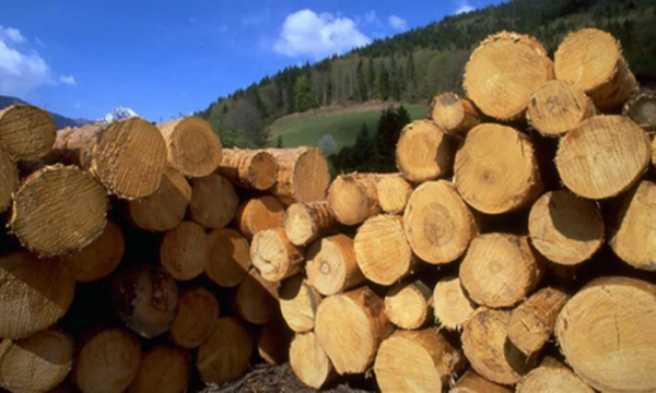 比较有名的木材交易网？木料产品采购-图2