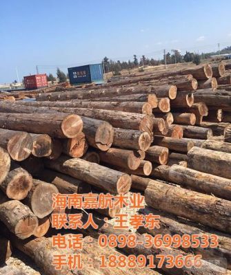 海南最硬的十大木材？海南木料市场-图2