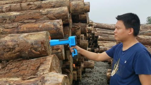 木材检尺方法木材技术解？解木料机器-图1