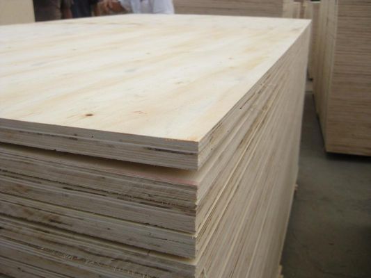 细木工板中木芯用哪种材料好？杨木、杉木还是柳胺木？杉木芯夹板-图2