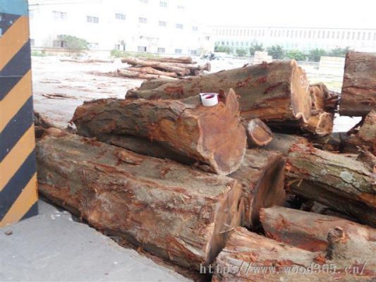 福建最贵木材？台湾木料市场-图1