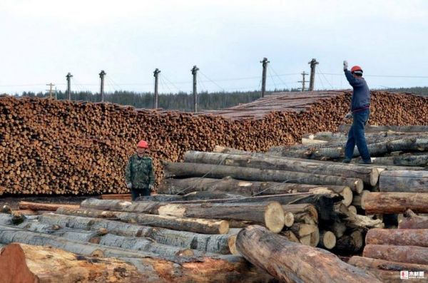 木材最多的国家排名？哪国生产木料-图2