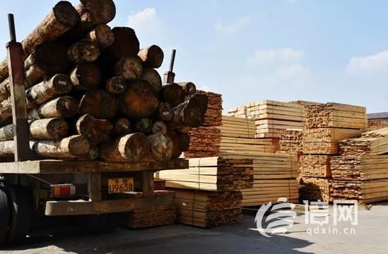 青岛木材市场哪个最大？厦门木料回收-图1