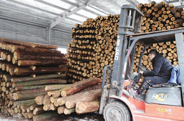 2021年木材11月能掉价吗？稳定木料市场-图1