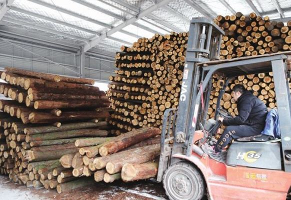 重庆木材加工批发市场有哪些？进口老木料市场-图1