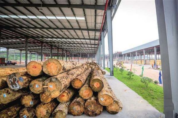 重庆木材加工批发市场有哪些？进口老木料市场-图2