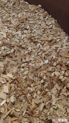 松木净片是怎么生产？造纸松木片-图1