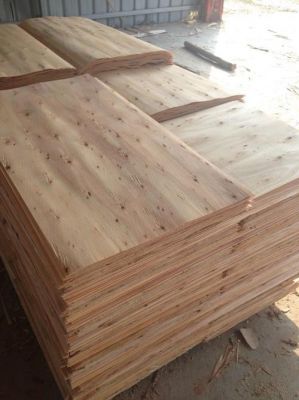 杉木芯板和桉木多层实木板哪个好？桉树和杉木-图1