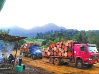 缅北推车是啥意思？缅甸运送木料大车-图1