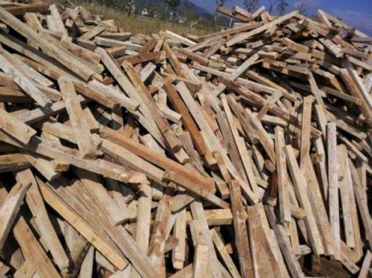 广东省废木材回收价格最高的是多少钱一吨？大量供应旧松木-图1