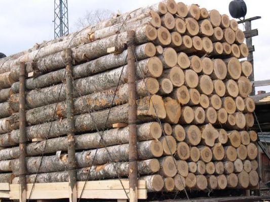 松木和桉木哪个价位高？松木木材的价格-图1