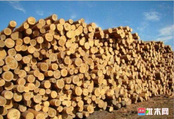 木材网站有哪些卖木料的网站