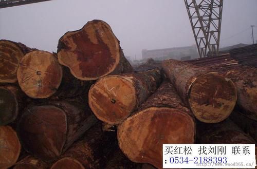红松是一种罕见的木料，在含有一定水分的情况下，5立方米红松重11/5吨。1立方米红松重多少吨？红松木材批发-图1