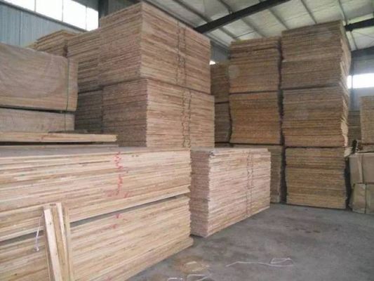 贵港哪个木业厂最大？贵港松木材市场-图3