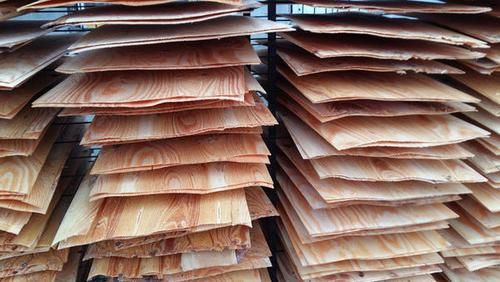 广西机制松木板贵还是安树板贵？松木木材价格走势