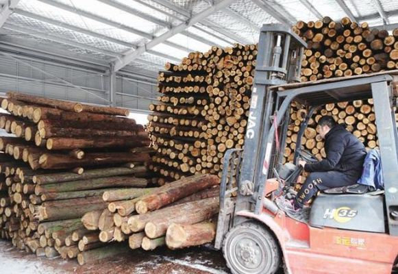 南京有几个较大的木材市场？木料大市场-图3