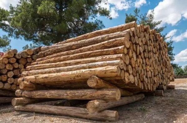用三种方法能让木头快速变硬？木料如何干燥-图2
