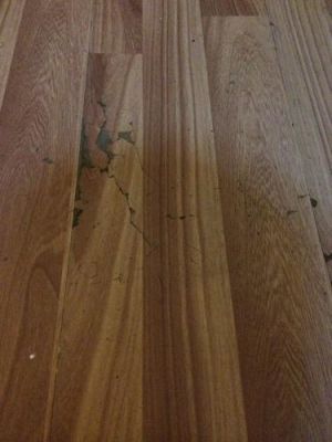 木地板问题（木地板质量太差）-图3