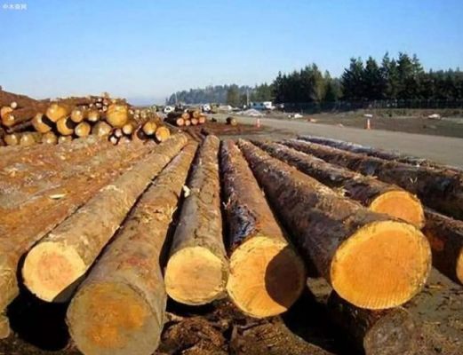 2020世界木材产量？松木原木涨价-图2