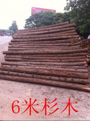 澳洲杉树干脱皮正常吗？上海 木材市场 杉木-图1