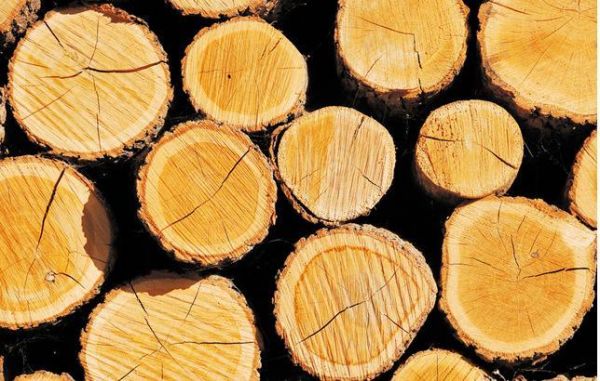 结实又轻的木头有哪些？什么是轻木料-图3