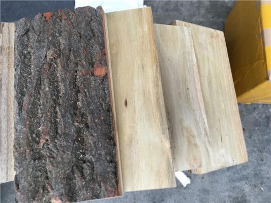 树皮像鱼鳞的木材是什么木材？鱼鳞松木用途-图1