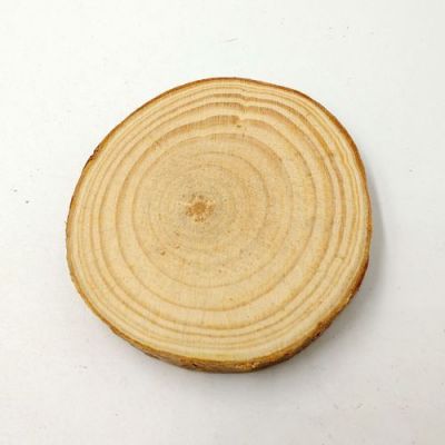 树皮像鱼鳞的木材是什么木材？鱼鳞松木用途-图2