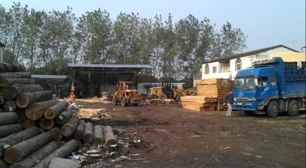 贵州小型木材加工厂需要办手续吗？贵州废木料销售-图2