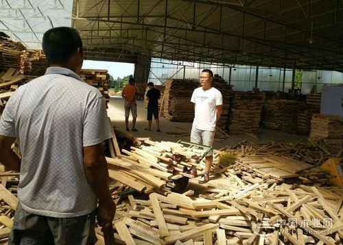 贵州小型木材加工厂需要办手续吗？贵州废木料销售-图3