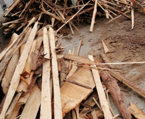 广西那里收松木废料的？广西的松木品种-图2