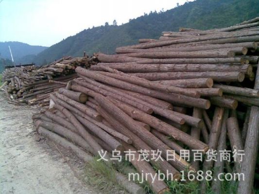 2019年广西桂林的杉树原木价格是多少钱一方？桂林木材杉木-图2