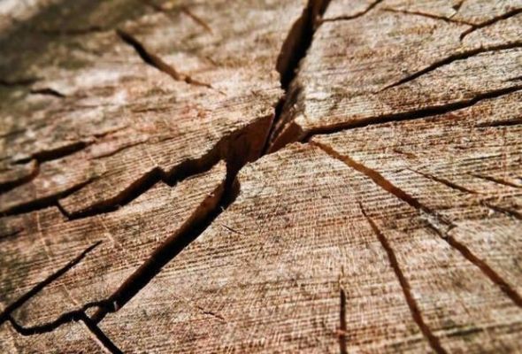 关于如何保存木料及防止开裂的小方法？木料放多久开裂-图1