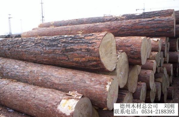 木材的发热量是多少？樟子松木材厂-图3